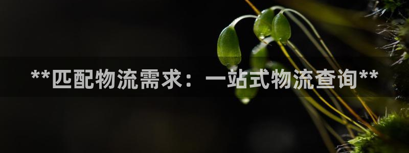 28圈提款一直没到
