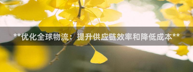 28圈口