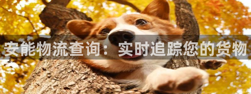 28圈充值不到账什么原因