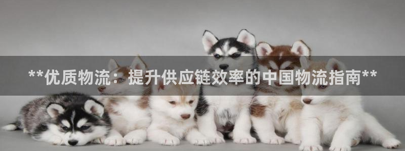 加拿大28圈数字规则