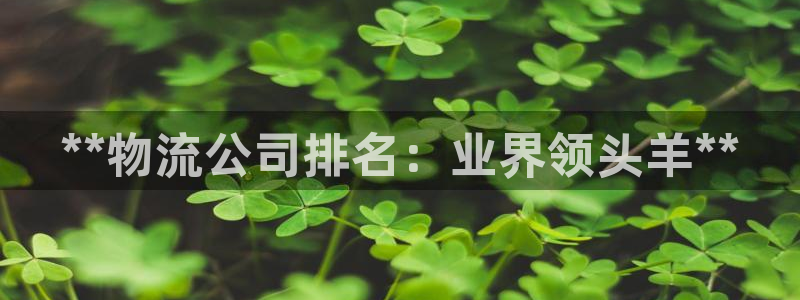 28圈加拿大真假怎么看