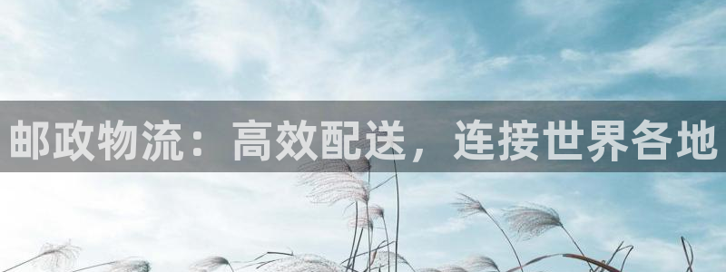 28圈技巧