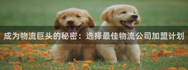 28圈加拿大真假怎么看：成为物流巨头