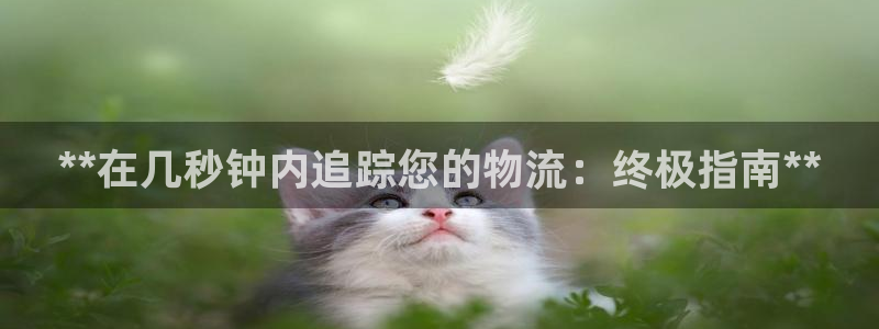 28圈分分压单双技巧：**在几秒钟内
