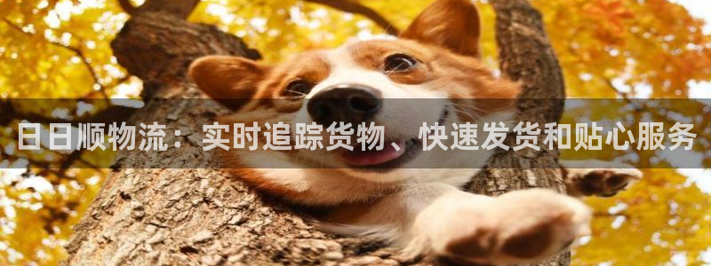 28圈犯法吗