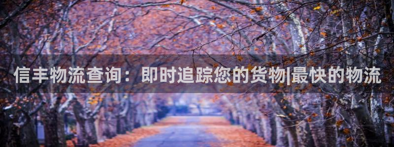 28圈自行车图片