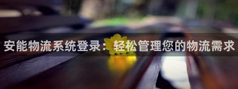 28圈注册登录链接：安能物流系统登录