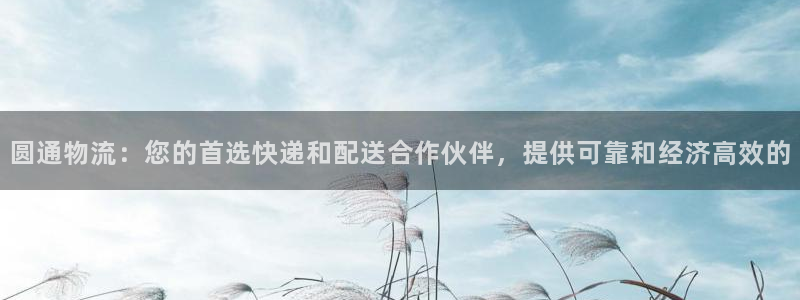 28圈官方网站