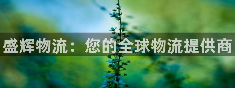 28圈加拿大6.0：盛辉物流：您的全