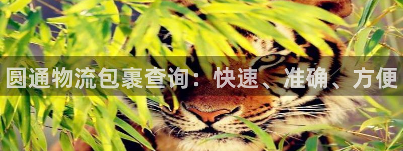 28圈起来的符号
