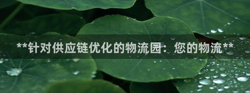 28圈v6能卖多少：**针对供应链优