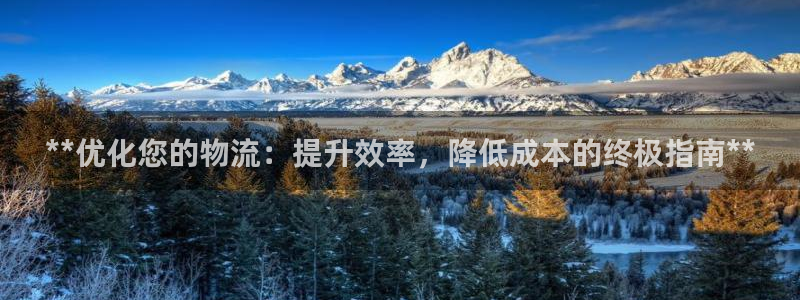 28圈稳吗：**优化您的物流：提升效