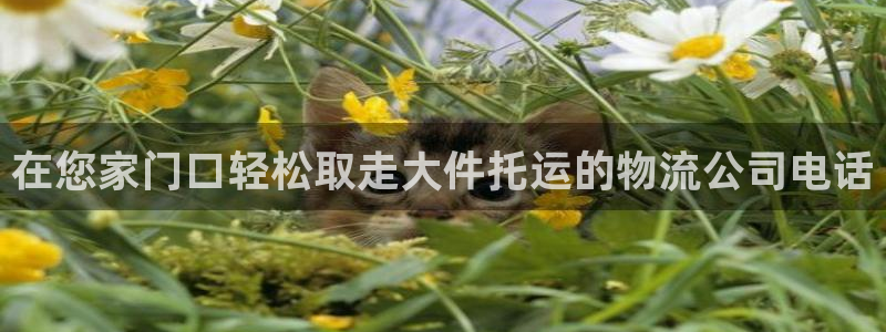 28圈注册链接教程：在您家门口轻松取