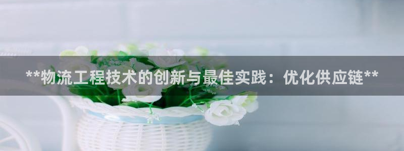 28圈p扣款什么意思