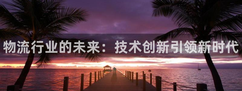 28圈p扣除是什么意思