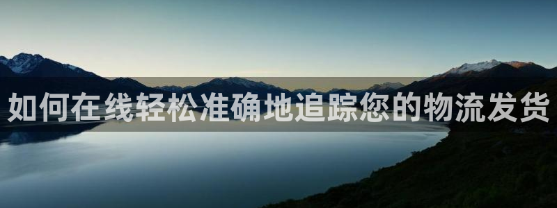 28圈预测