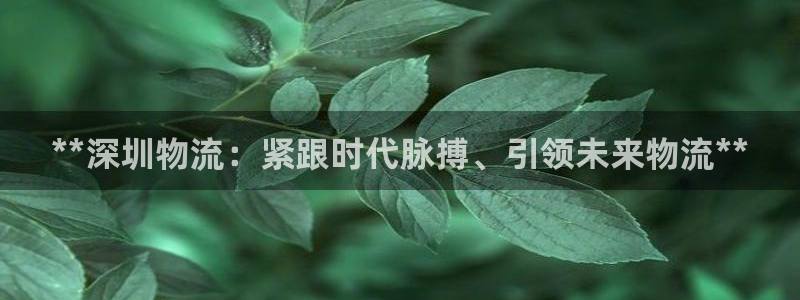 28圈官网注册：**深圳物流：紧跟时