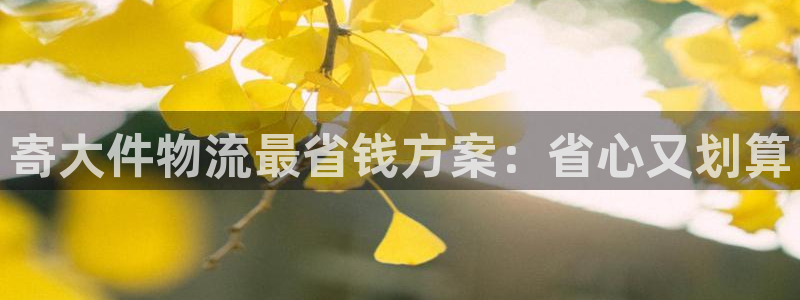 28圈头像