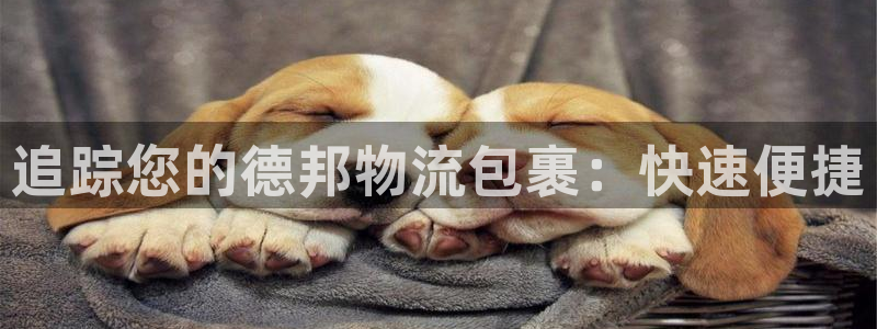 28圈怎么注册账号：追踪您的德邦物流