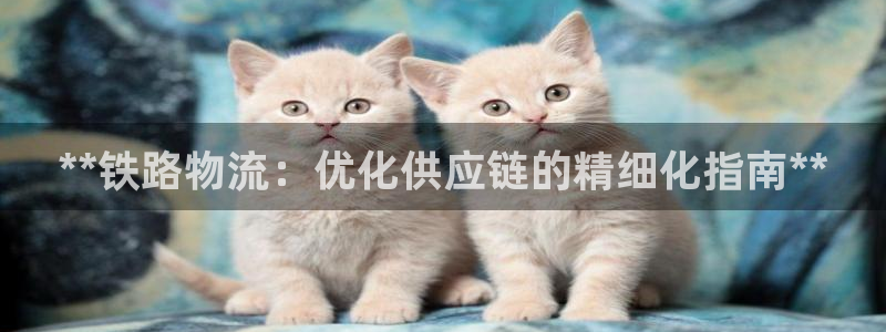 自行车28圈是什么意思：**铁路物流