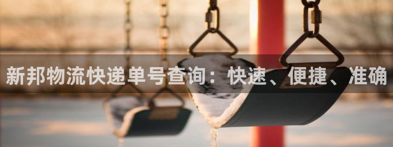 28圈app怎么注册账号：新邦物流快