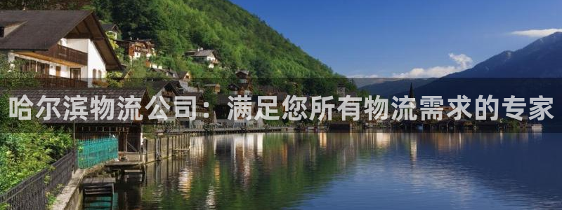 28圈登录网：哈尔滨物流公司：满足您