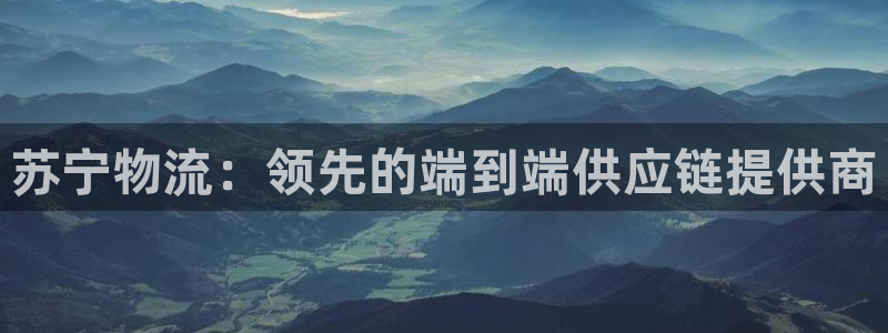 28圈加拿大怎么玩：苏宁物流：领先的