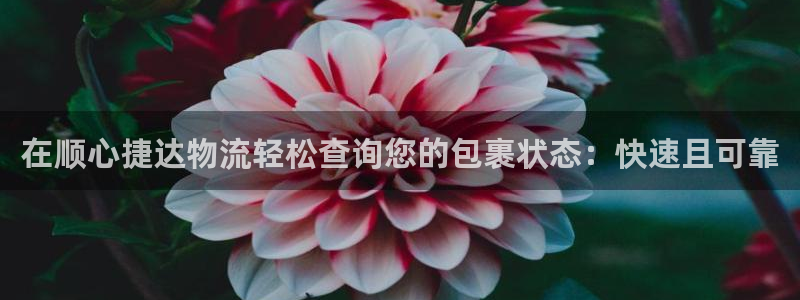 28圈ccm游戏