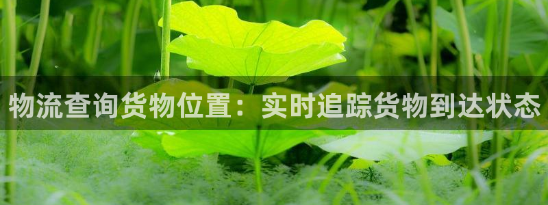 28圈官方网站