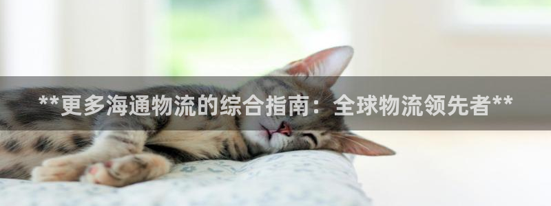 28圈连输10天