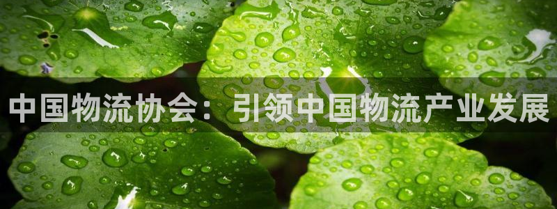 28圈麻将胡了