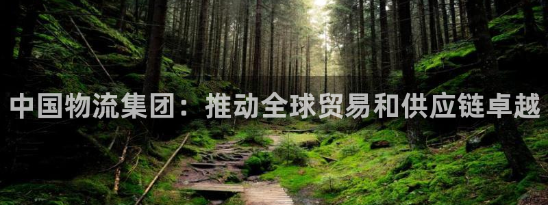 28圈百度百科：中国物流集团：推动全