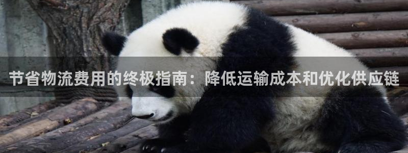 28圈怎么申请代理