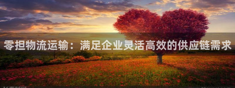 28圈平台注册：零担物流运输：满足企