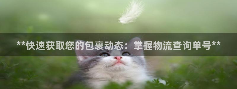 28圈链接来一个：**快速获取您的包