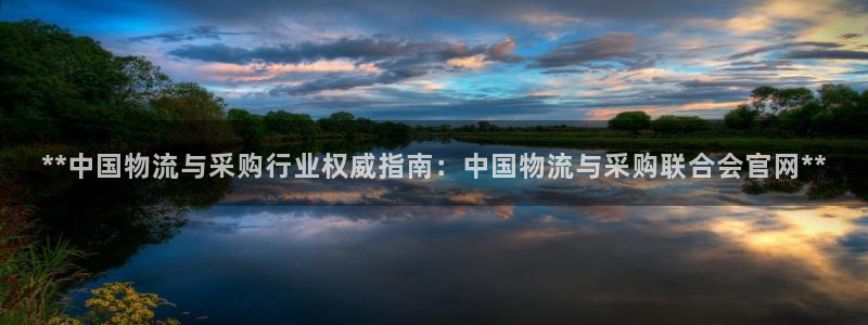 28圈注册登录流程：**中国物流与采