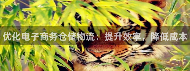 28圈p扣除是什么意思