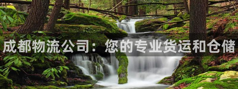 28圈游戏官网版