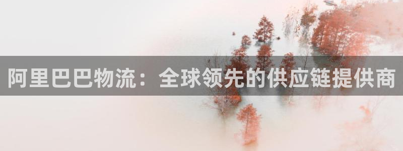 28圈怎么注册账号：阿里巴巴物流：全