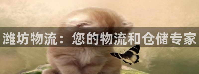 28圈注册地址：潍坊物流：您的物流和