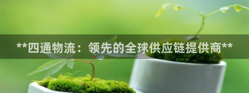 28圈在线预测官网：**四通物流：领
