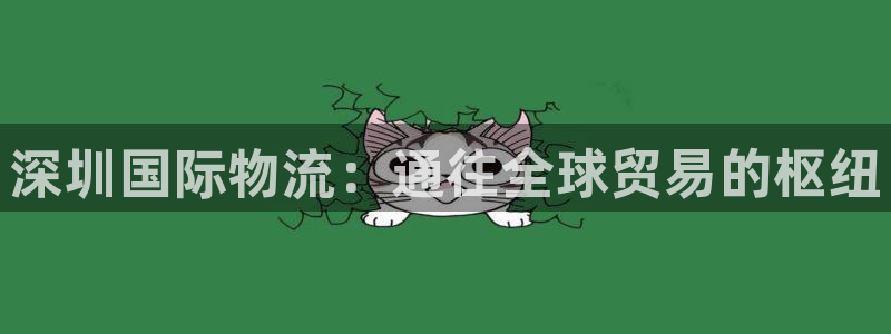 28圈注册流程：深圳国际物流：通往全
