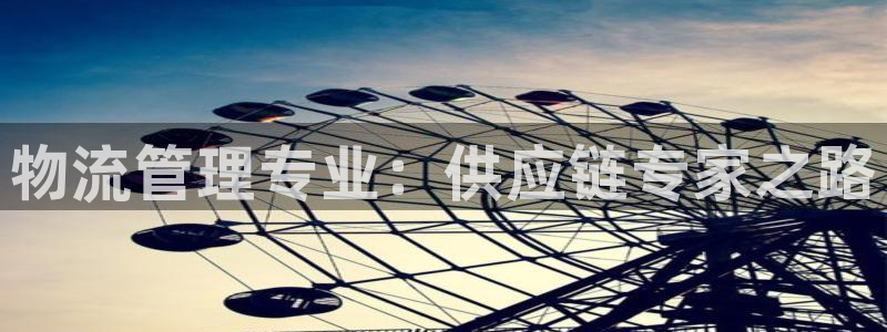 28圈辅助：物流管理专业：供应链专家
