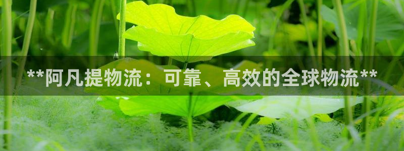 28圈充值金额随便