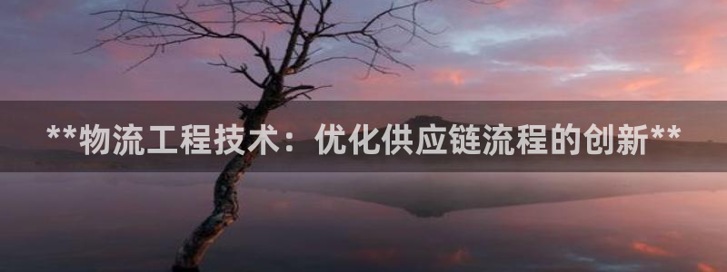 28圈是正规软件吗：**物流工程技术