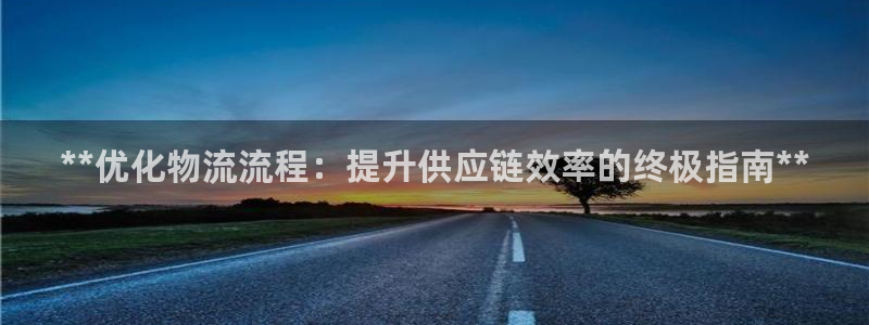 28圈加拿大下载：**优化物流流程：