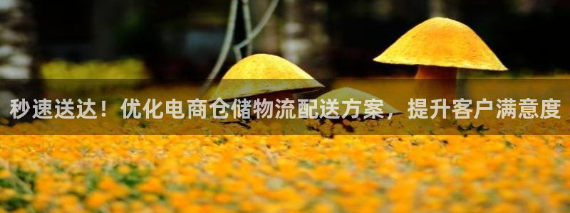 28圈注册条件：秒速送达！优化电商仓