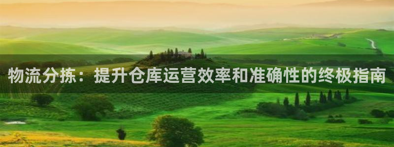 28圈app注册地址：物流分拣：提升