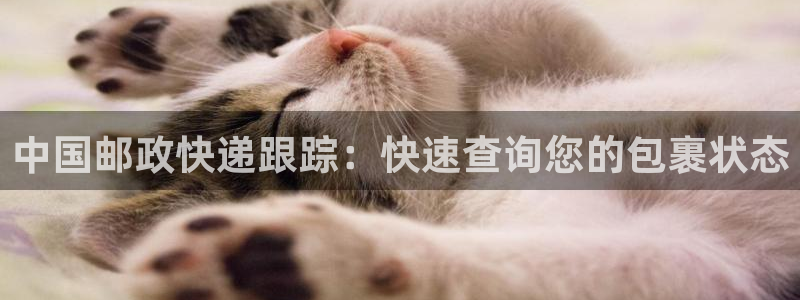 28圈h5链接