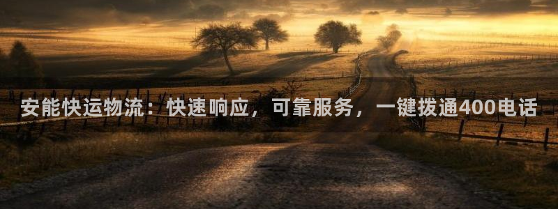 28圈注册链接：安能快运物流：快速响